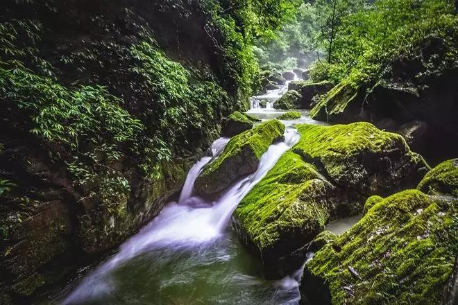 “志愿红”扫雪铲冰为居民保驾护航